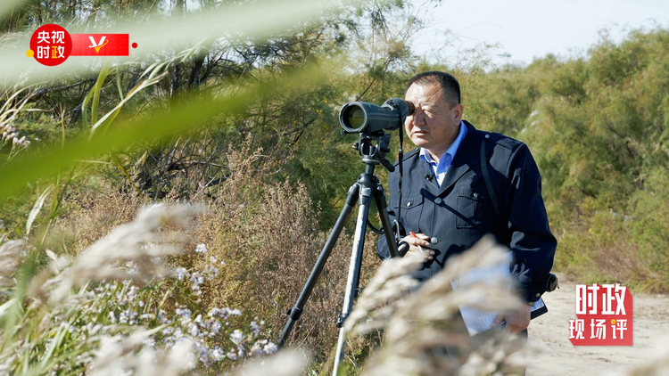 时政现场评丨跟随总书记的脚步 在入海口看壮阔黄河的绿与亲切