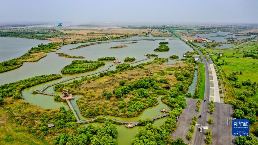 (新华全媒头条·图文互动)(3)“让我们一起向未来”——聆听习近平主席2022年新年贺词