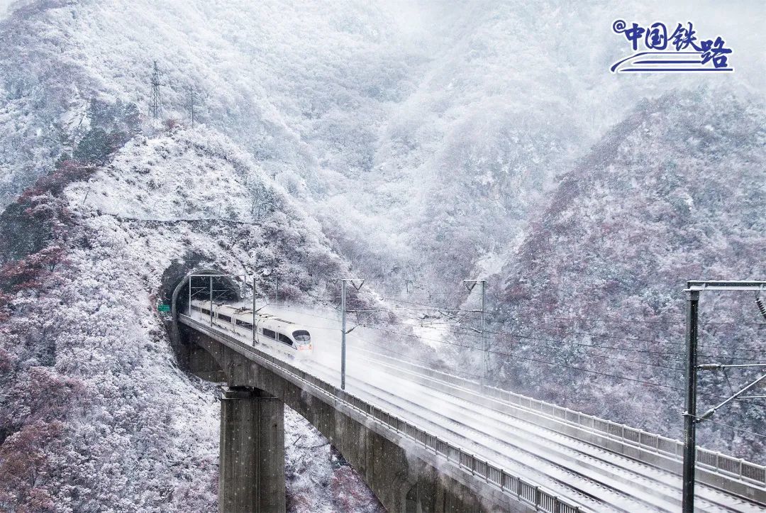 ��������ɽ�е���ȸɭ�ֹ�԰�ڣ�һ�ж������г�Խ������ʻ�������ڡ�κ���� ��