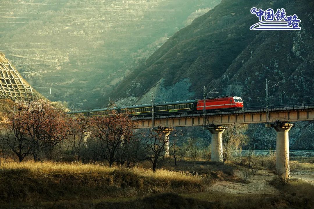 7503/7504�Ρ����𳵡���ʻ���������ϡ������� ��