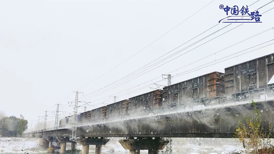 ѩ����̿����ִ��С�Ҷ���� ��