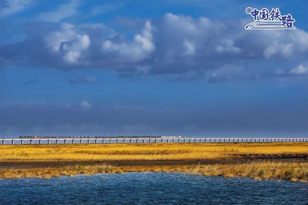 һ����ŷ����ʻ��̨������ش��š����¹� ��