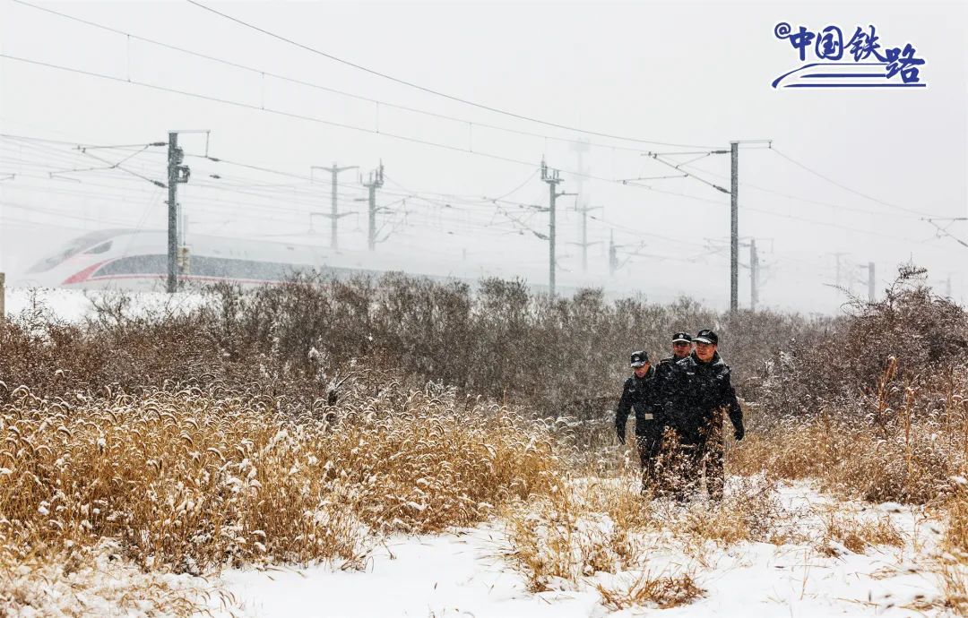 ������ȫ������ ��