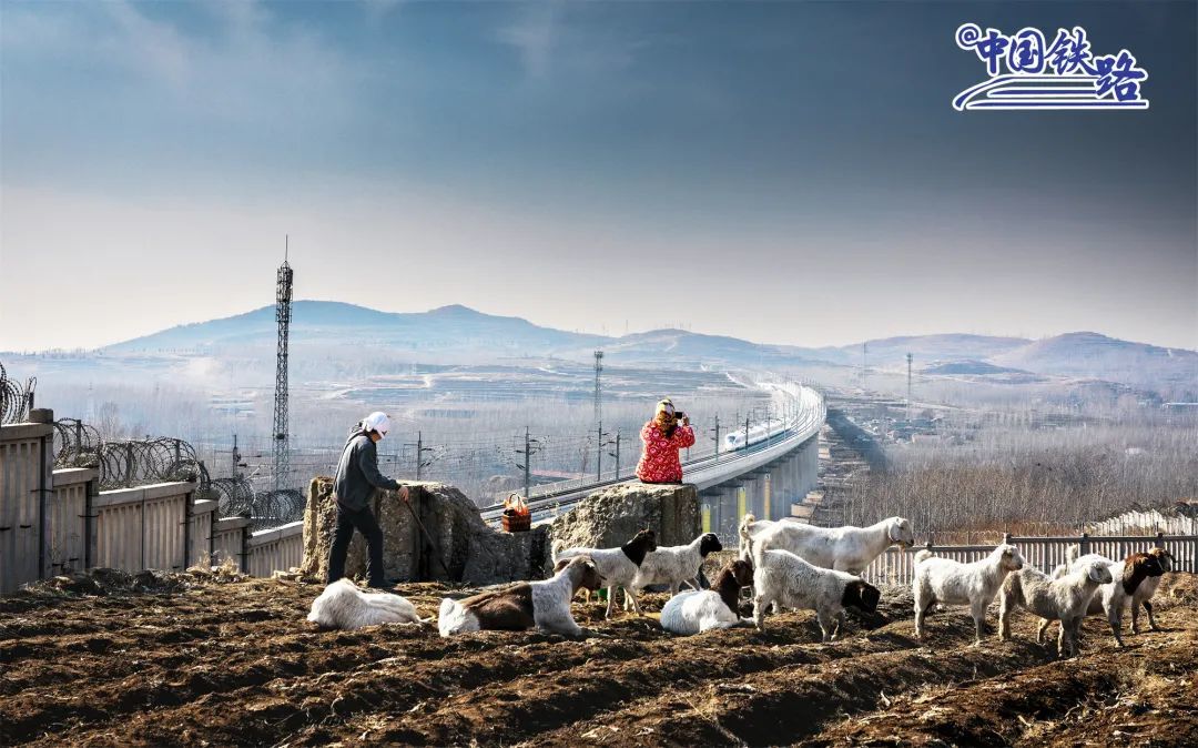 ��ͷ���¾�����ѧ�� ��