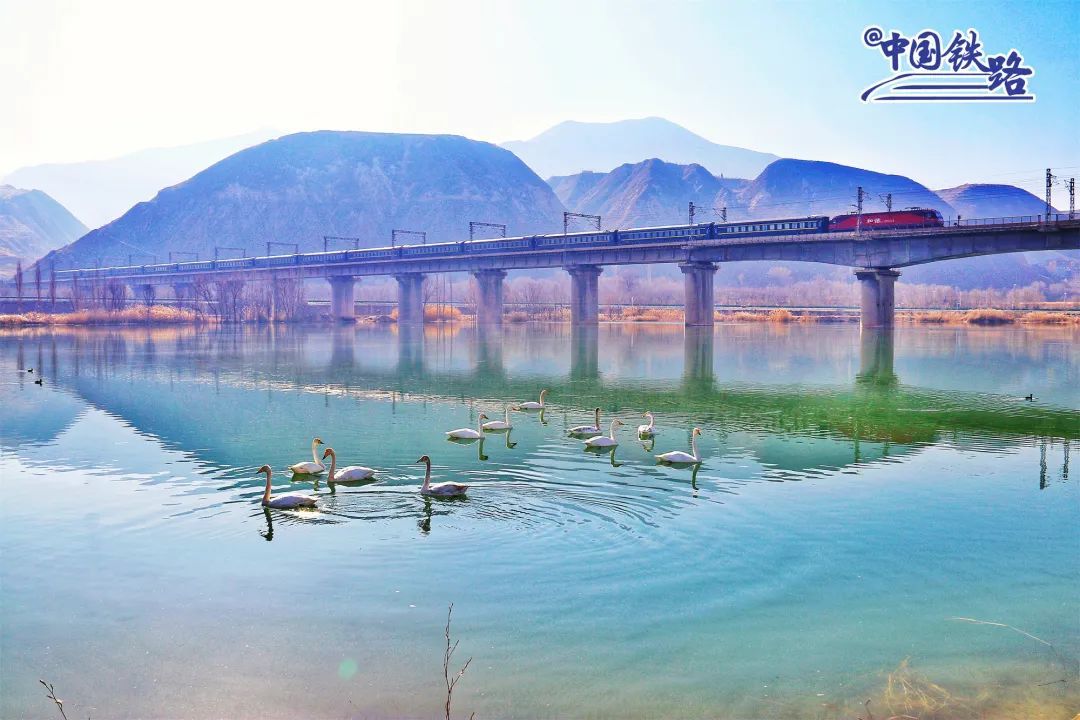 һ���ÿ��г�ʻ�����ݺ�����ﴨ�ƺ������ڣ�һȺ�������߮�����ĸ� ��