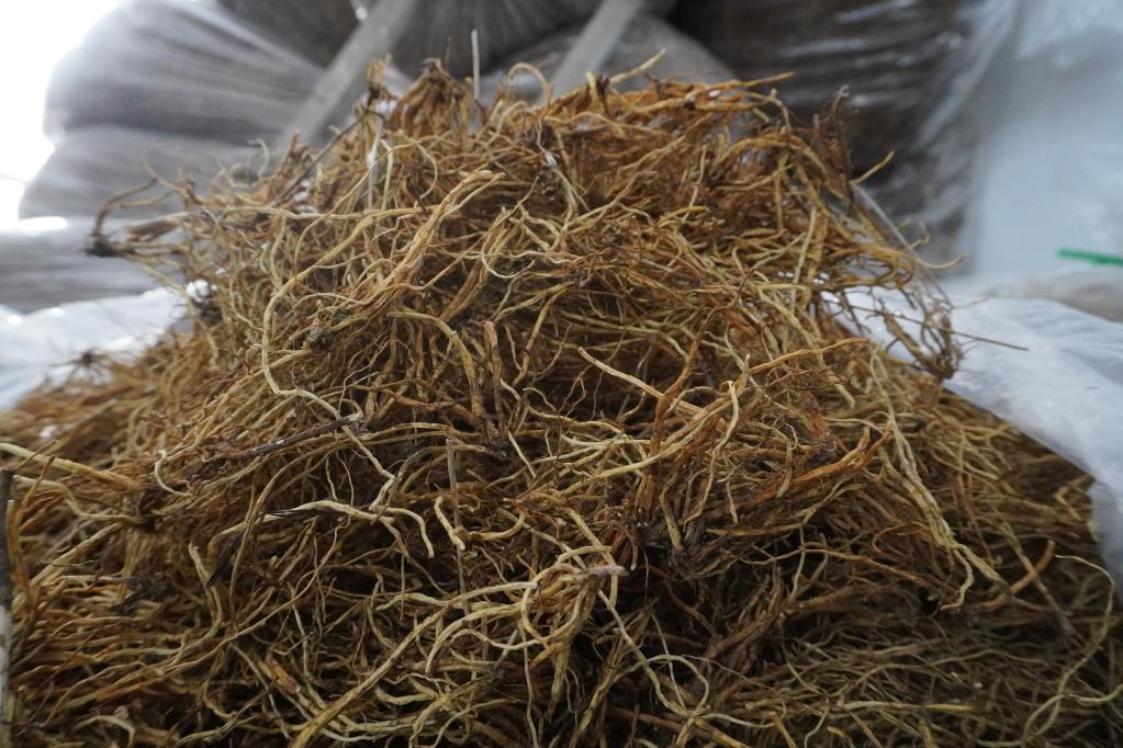 1��10�գ���ԭ���������ش��ӹ���ֿ��ڴ���������ݡ��»������ �佭�� ��