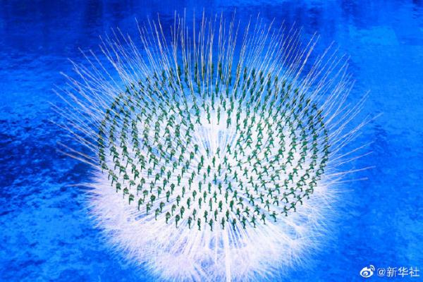 全球收视率创历届新高!国际奥委会详解北京冬奥会全球关注度