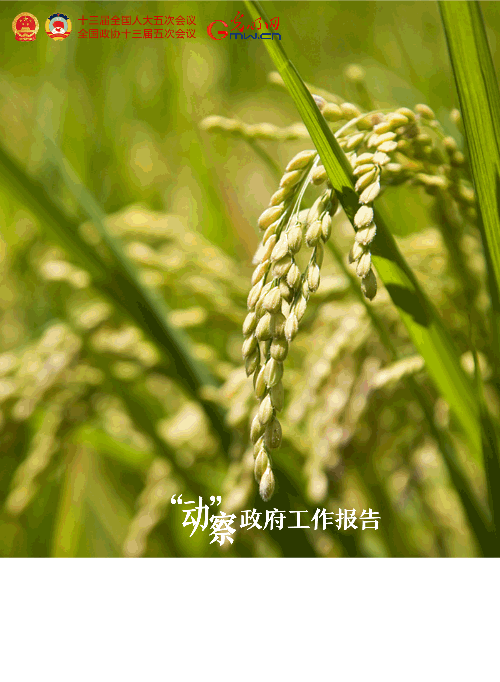 【“动”察政府工作报告】2022,这些目标催人奋进!