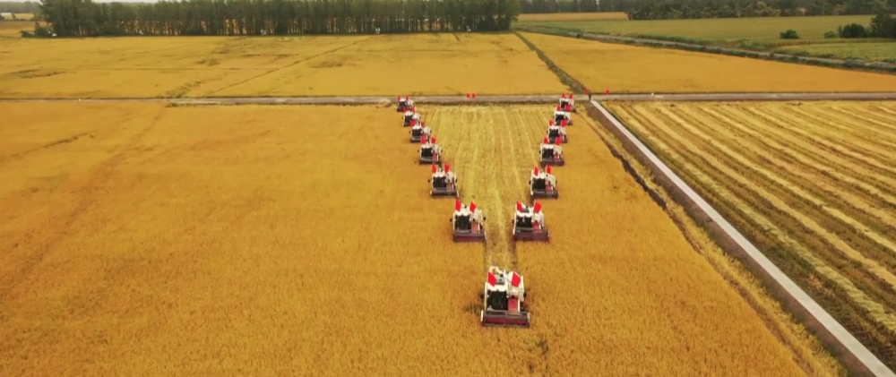 微视频|深情寄“三农”