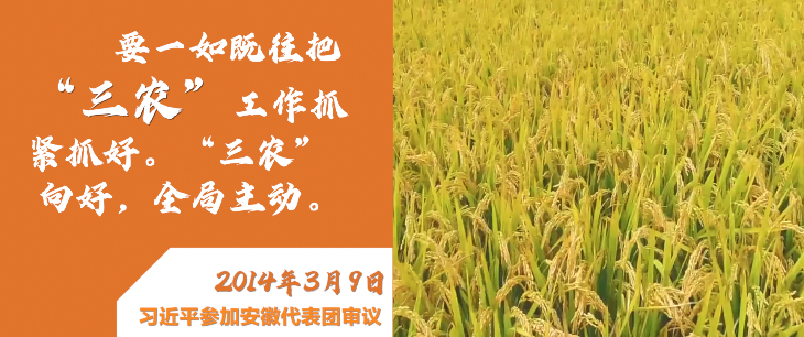 微视频|深情寄“三农”