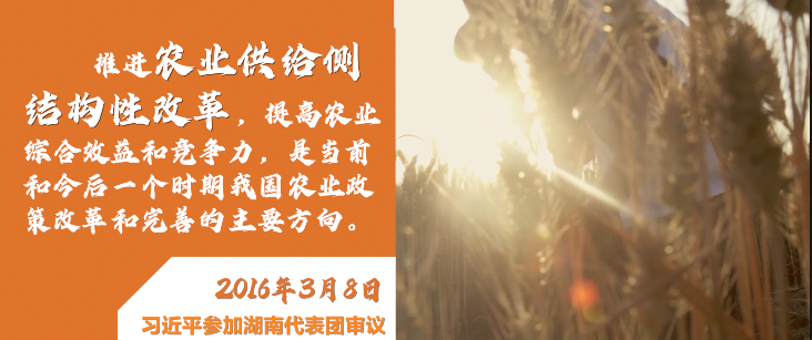 微视频|深情寄“三农”