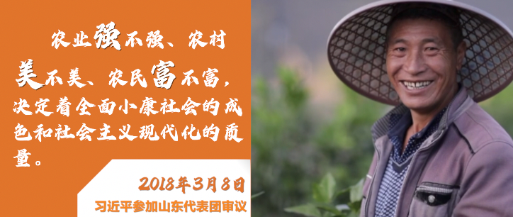 微视频|深情寄“三农”