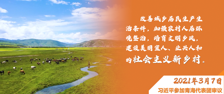 微视频|深情寄“三农”