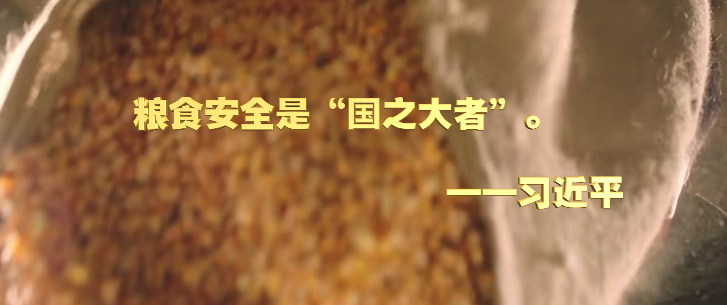 微视频|深情寄“三农”