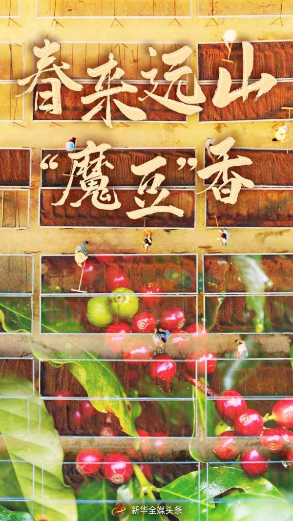 �Ɑ�����������ɽ�����˵�����