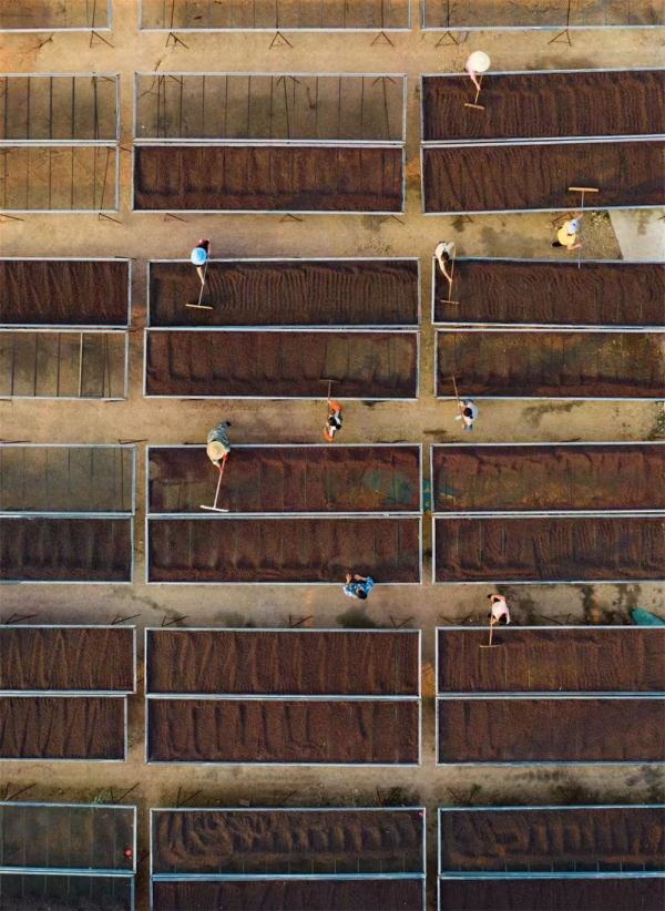 �Ɑ�����������ɽ�����˵�����