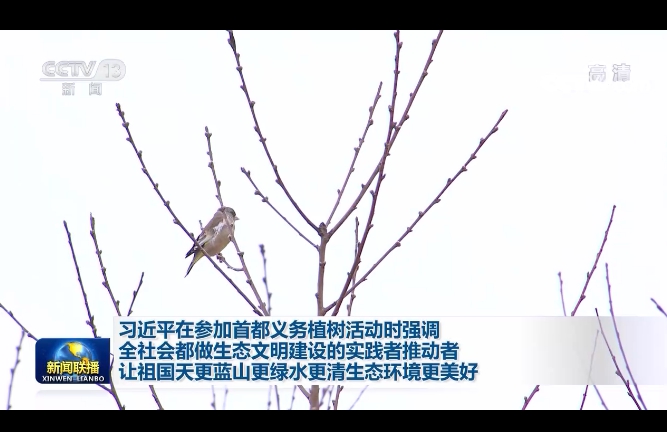 义务植树 义务植树