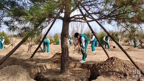 △少先队员们挥锹铲土。(总台央视记者郭鸿拍摄)