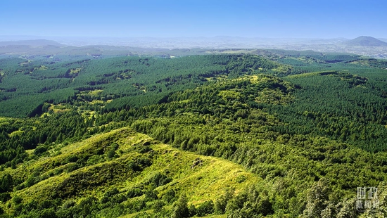 △塞罕坝林场。(总台央广记者潘毅拍摄)