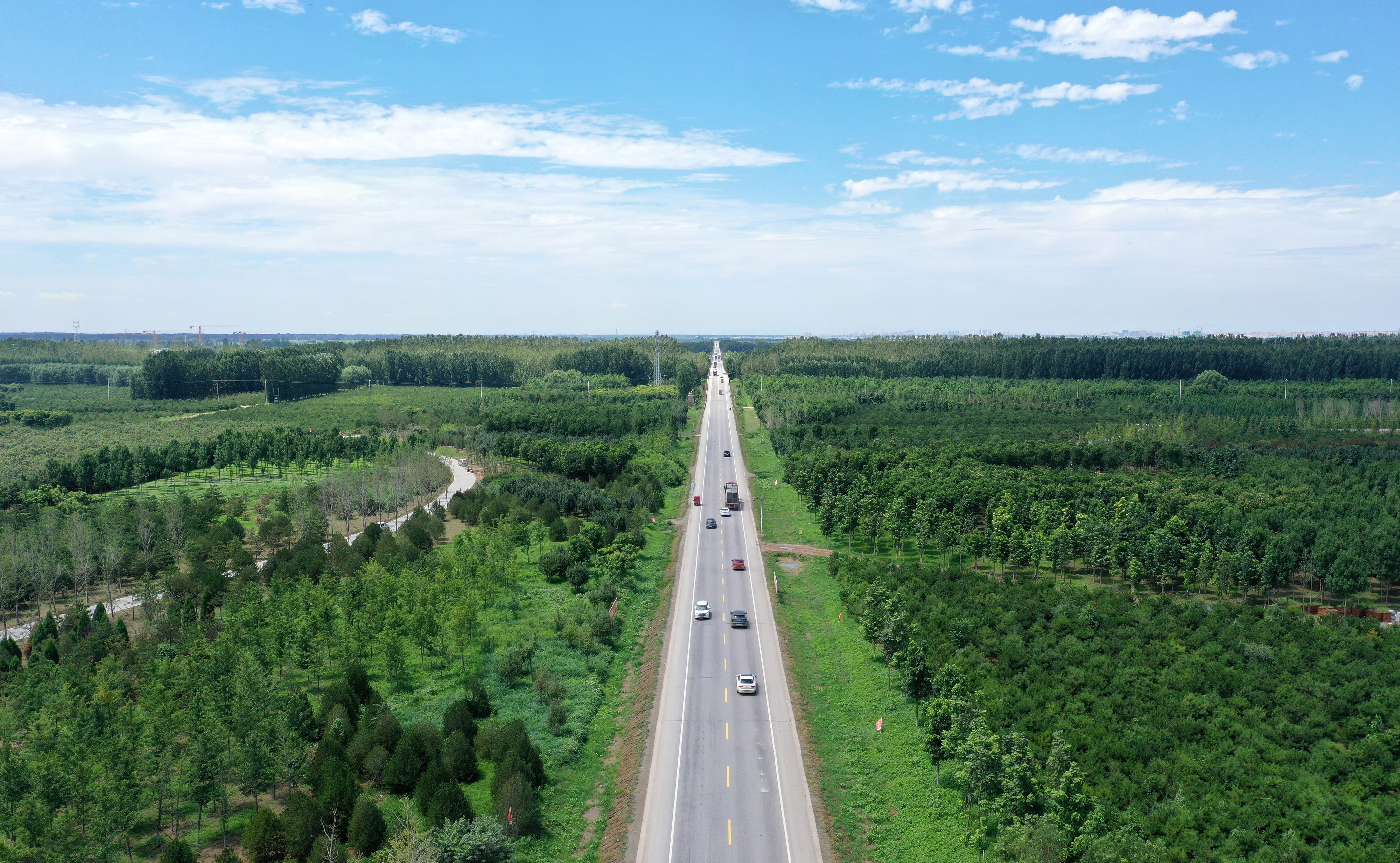 2021年7月30日,航拍河北雄安新区“千年秀林”。