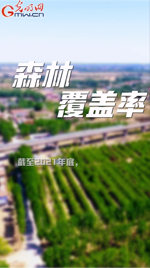 【“动”漫海报】雄安新区:五年奋进加速蝶变 未来之城欣欣向荣