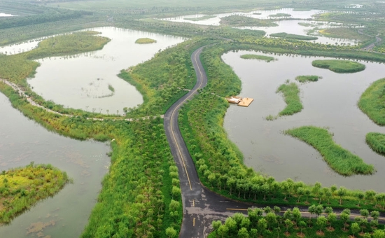 天津西青生态廊道一景(2021年8月16日摄,无人机照片)。新华社记者 李然 摄