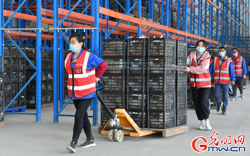 “守沪者联盟”丨第二批启程!安徽合肥:1万份蔬果包驰援上海