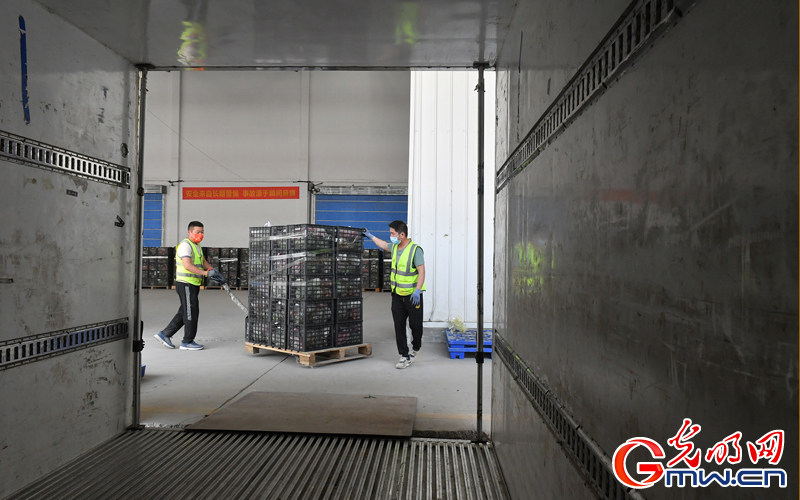 “守沪者联盟”丨第二批启程!安徽合肥:1万份蔬果包驰援上海