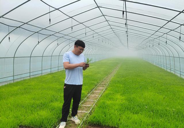 ����:�������ﻰ����