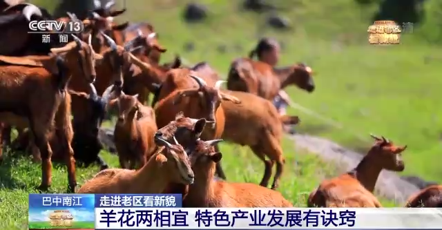 走进老区看新貌丨追寻红色足迹 感受巴蜀时代新貌