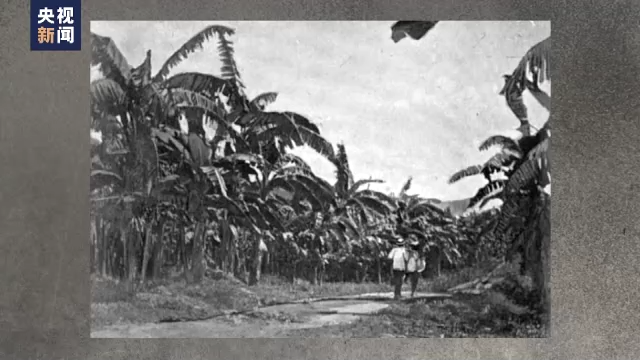 ����Ӷ� ��ռ¢�� ��ʽ���Ե�����������