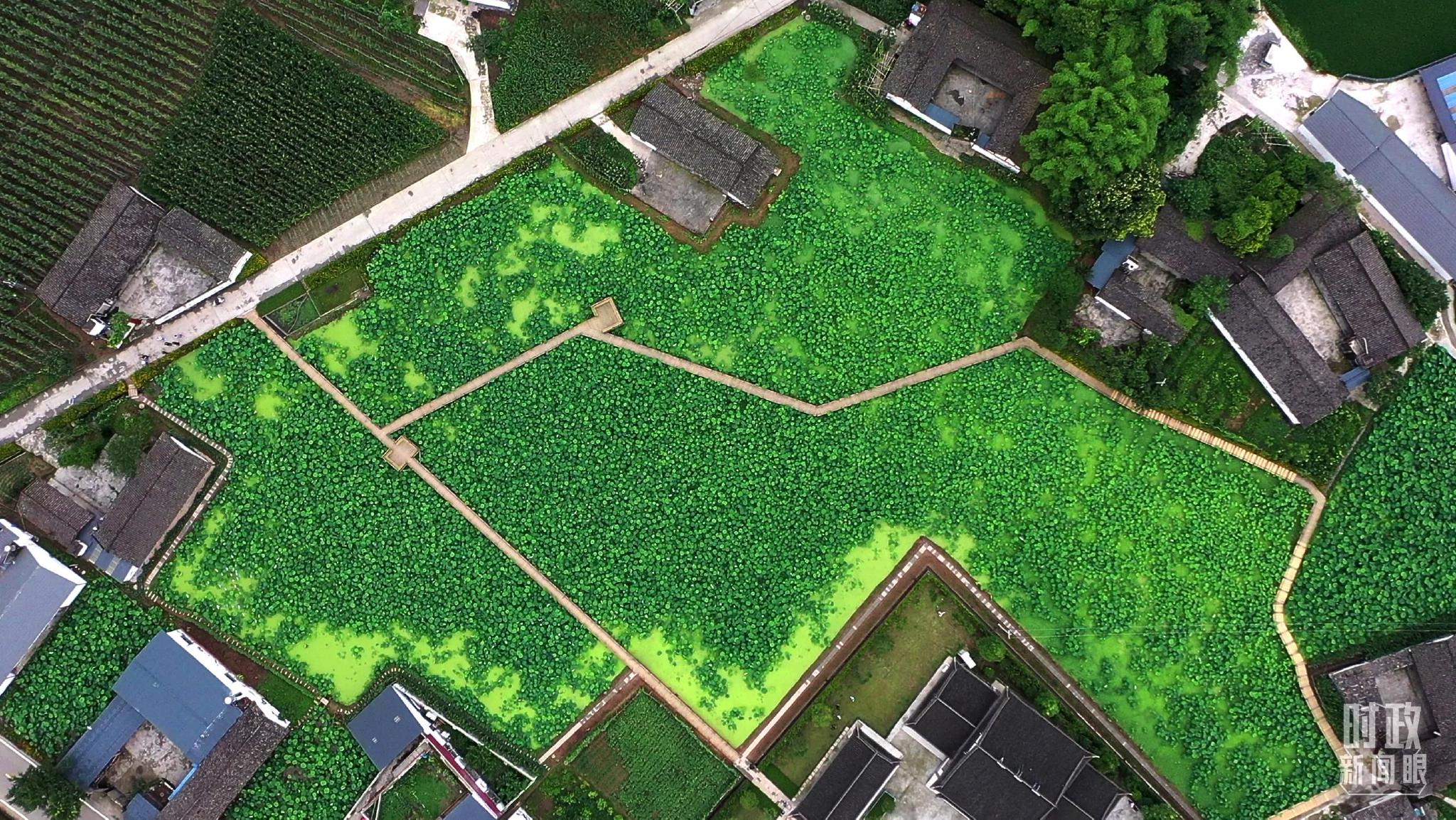 △俯瞰永丰村。(总台记者齐涛拍摄) △俯瞰永丰村。(总台记者齐涛拍摄)