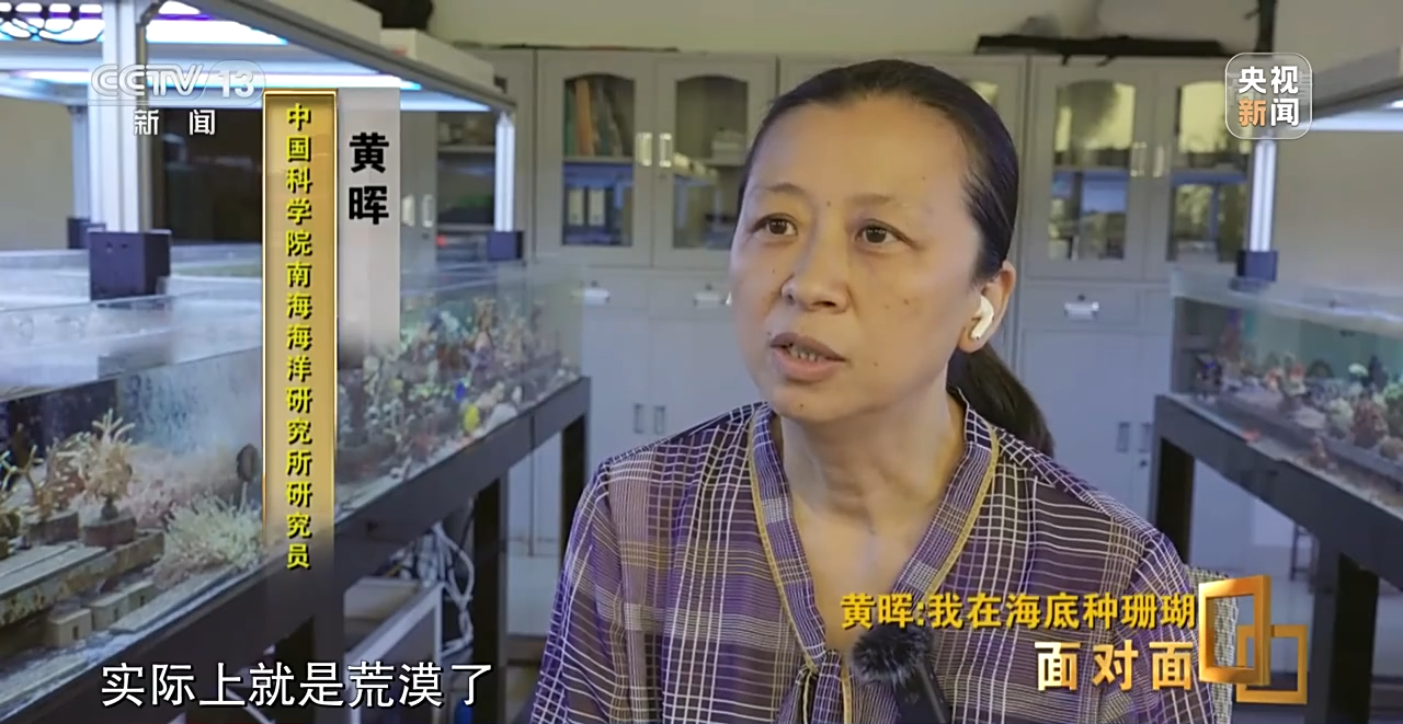 面对面丨“珊瑚妈妈”黄晖:种出一片“海底森林”