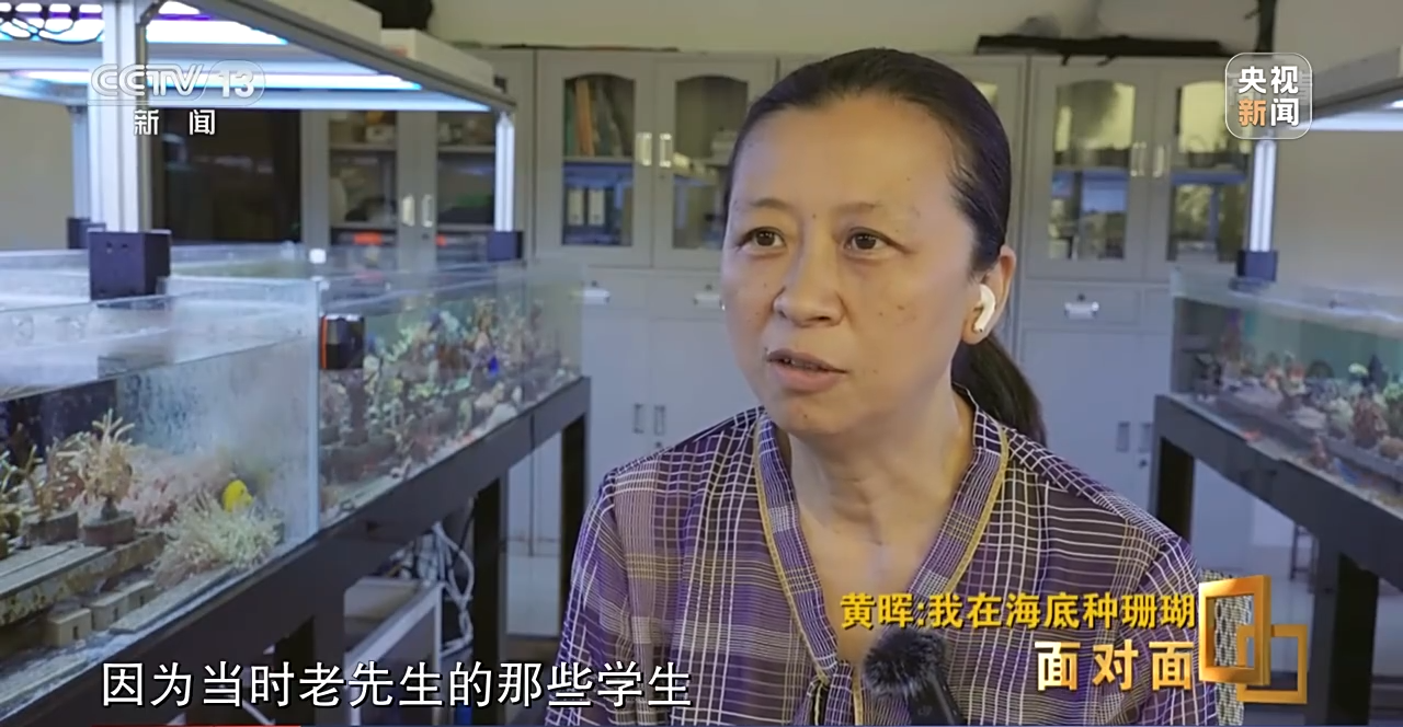 面对面丨“珊瑚妈妈”黄晖:种出一片“海底森林”