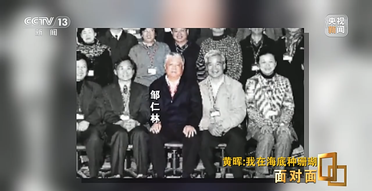 面对面丨“珊瑚妈妈”黄晖:种出一片“海底森林”