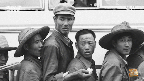 ����͡�Ӱ��