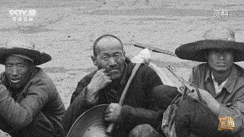 ����͡�Ӱ��