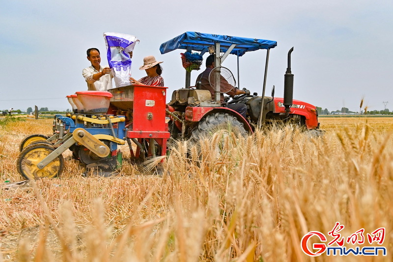 【大国“粮”策】国家发改委:300多万吨储备化肥已开始向市场投放