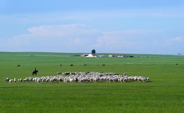 ���ɹ����ֹ����������ǹ����־��ڵĲ�ԭ�ϣ������ڷ����»������ ������ ��