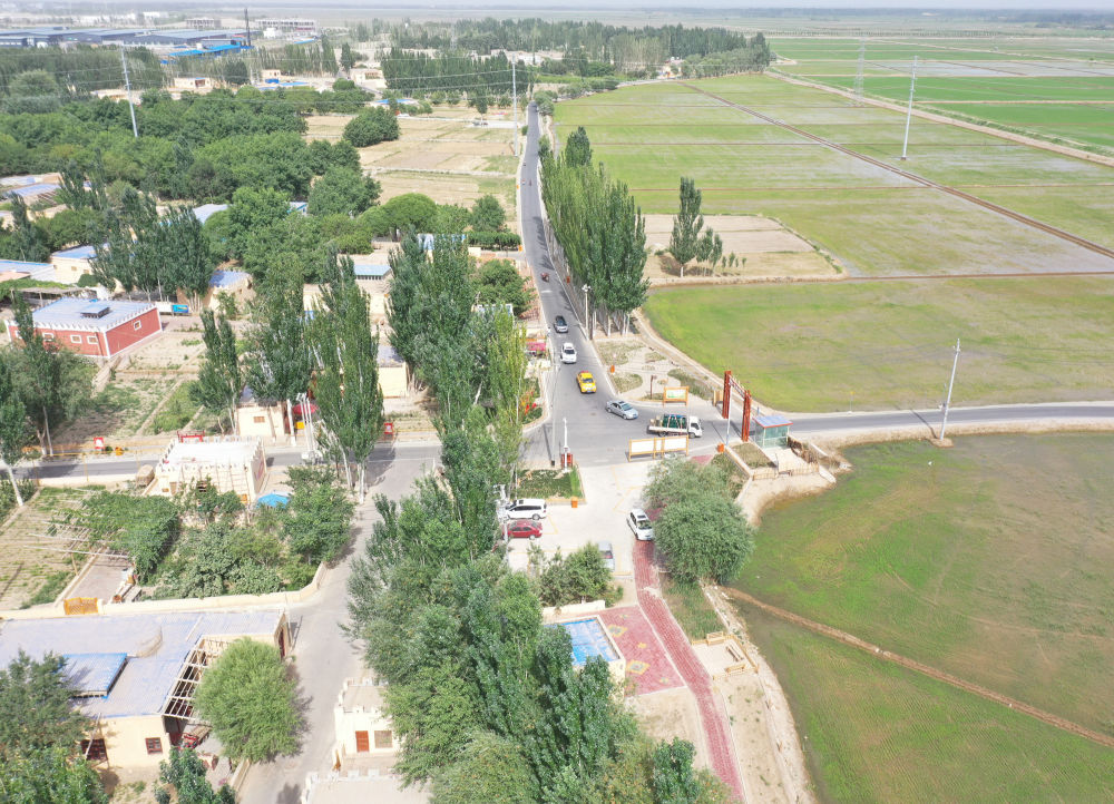 大美边疆|南疆“网红村”在“诗和远方”中铺就幸福路