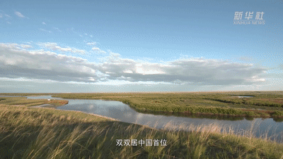 “大美边疆·人物故事”系列微纪录片第二集《守卫在北疆林海》