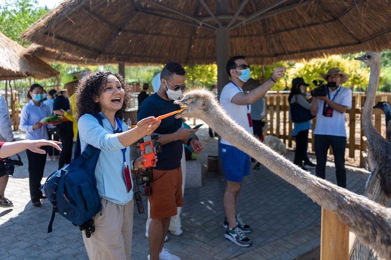 ���й���Լ��ˮɳһɫɳ���� ����������˼��