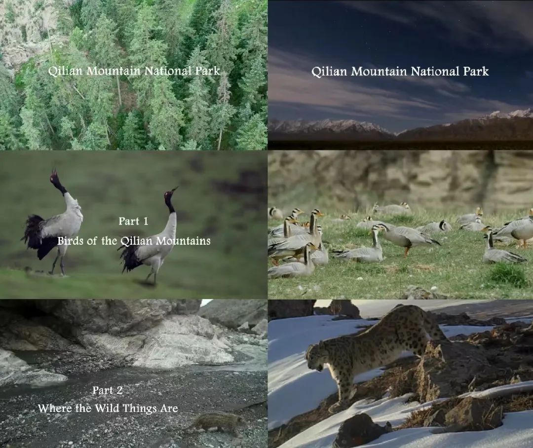 家国情怀满满!总台纪录大片在港热播