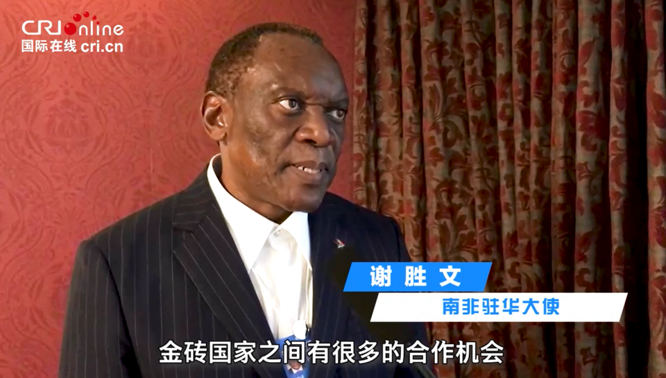 南非驻华大使:在金砖机制内各领域都找到了合作空间_fororder_544