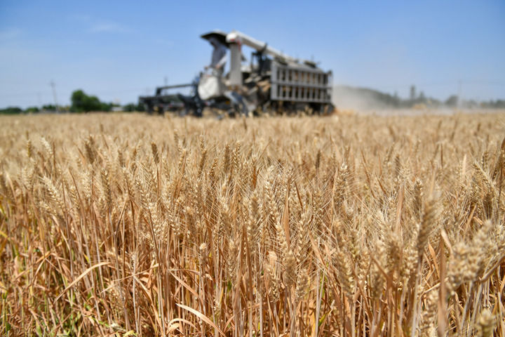 新华视点|从关键数据看中国经济韧性