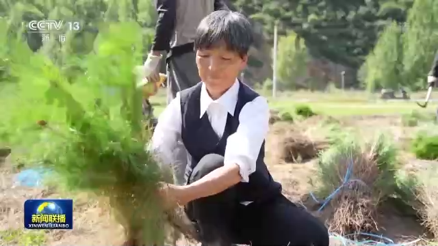 ��ʮ��������ح�����䣺ȫ���ķ������ĺ�֧��