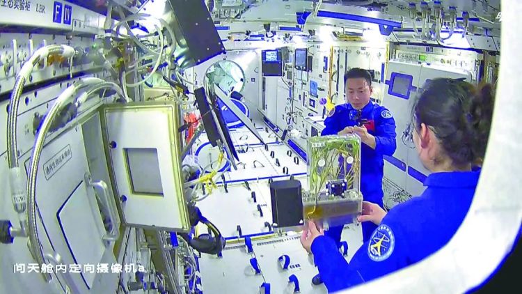 二十大是世界进一步读懂中国的窗口