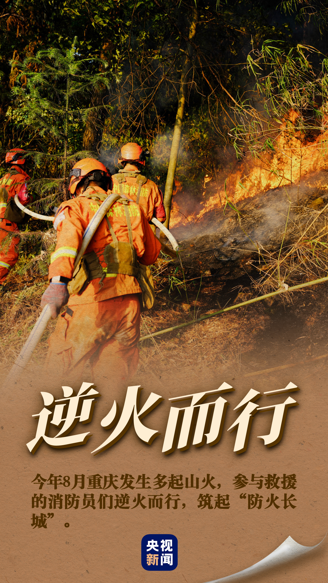 ������ȫ�������� һ��ͼ�¾�����Ӣ��