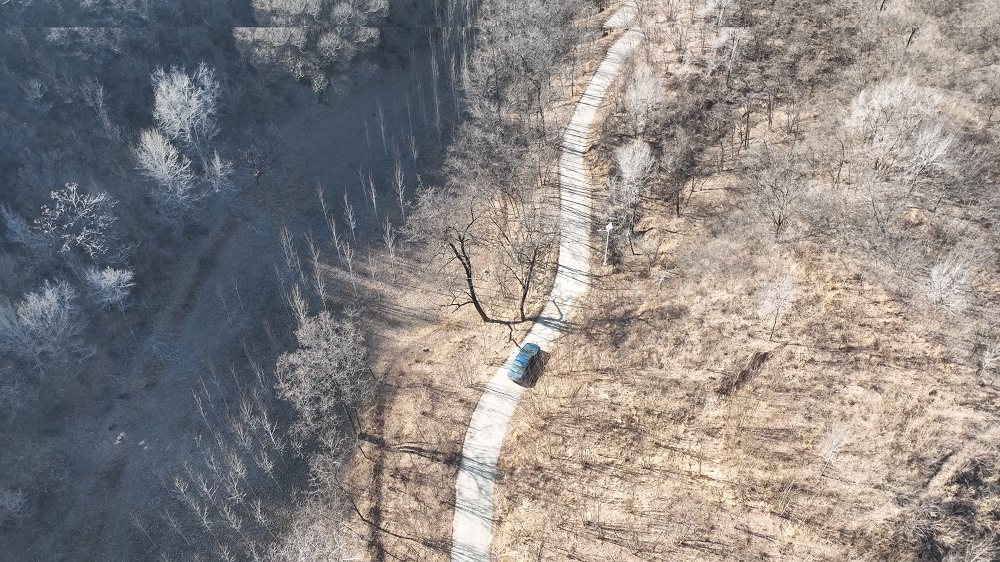 ��ѩ�壬лл�㣡