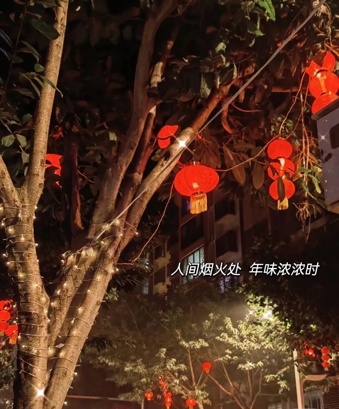 ��ζһ���Ӿ����ˣ�